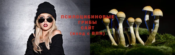 таблы Армянск
