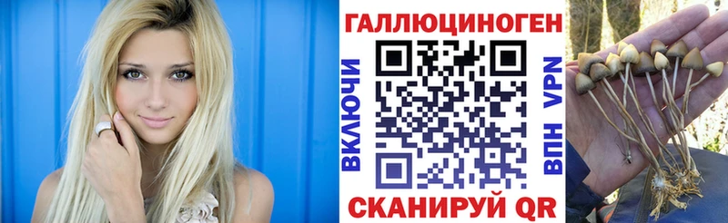 Псилоцибиновые грибы ЛСД  Кировск 